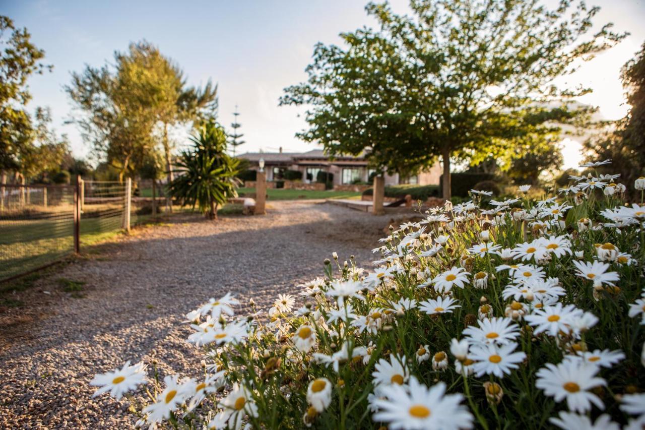 Agroturismo Can Pere Rei Son Serra de Marina Eksteriør bilde