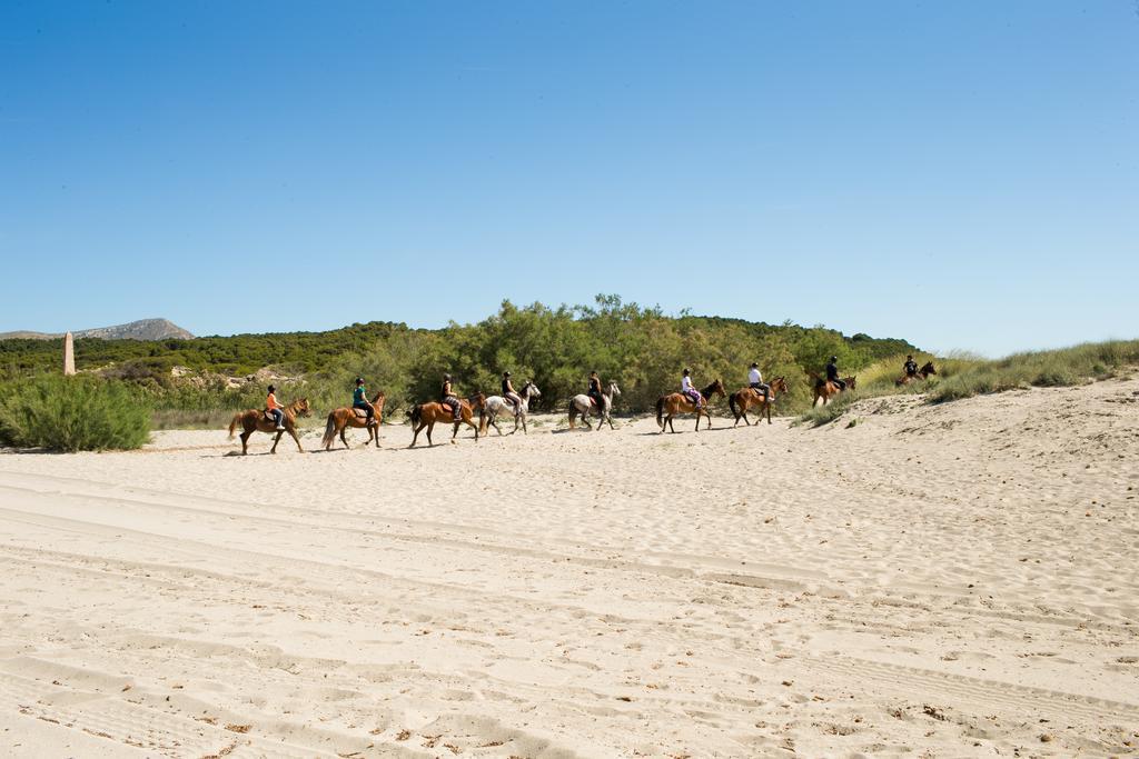 Agroturismo Can Pere Rei Son Serra de Marina Eksteriør bilde